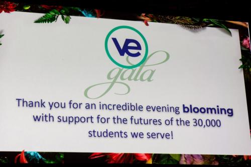 VEI Gala 2024