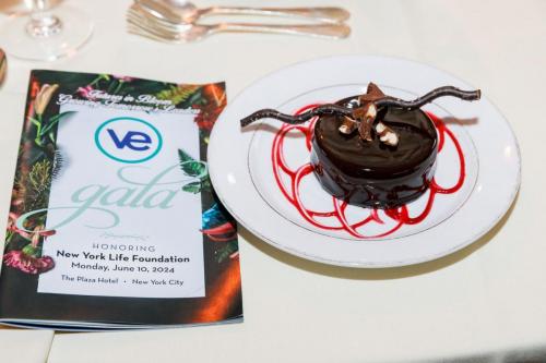 VEI Gala 2024